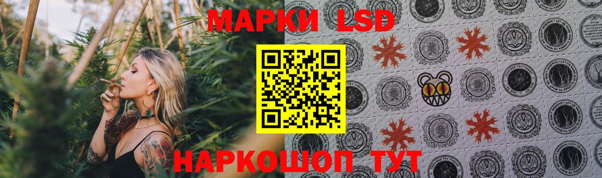 ЛСД экстази ecstasy  ЛСД экстази ecstasy  Вход с VPN  Лесной 