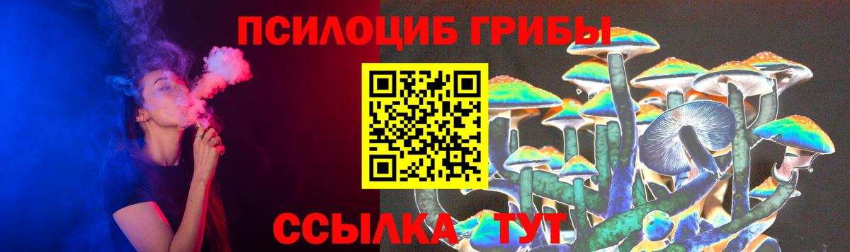 Лесной  Галлюциногенные грибы мицелий  Вход с VPN  Псилоцибиновые грибы Psilocybe 
